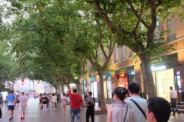 Shanghai Tourist Information & Service Center