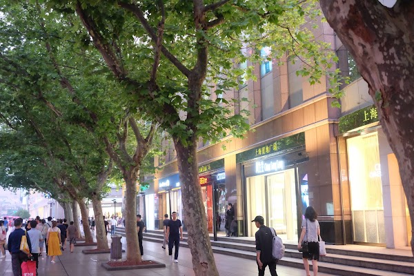 Shanghai Tourist Information & Service Center 3