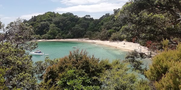 Whale Bay