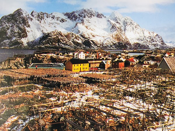 Henningsvær 4