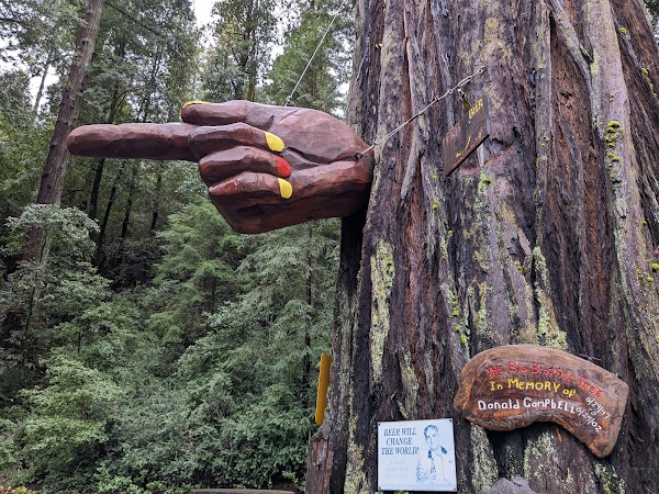 Confusion Hill 2