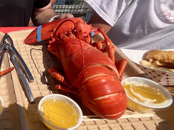 Five Islands Lobster Co 4
