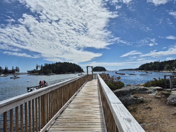 Five Islands Lobster Co 3