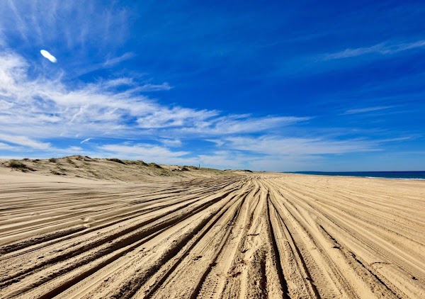 Stockton Beach 5