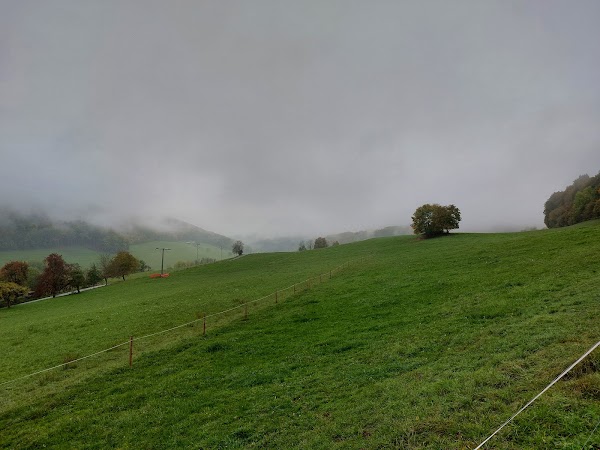 Stühlingen 2
