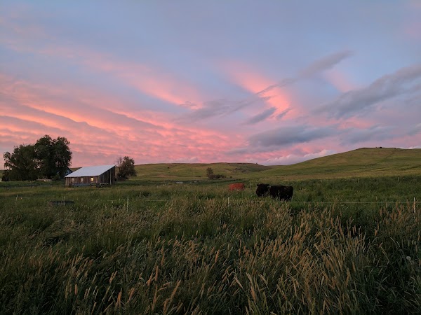 Carman Ranch 1