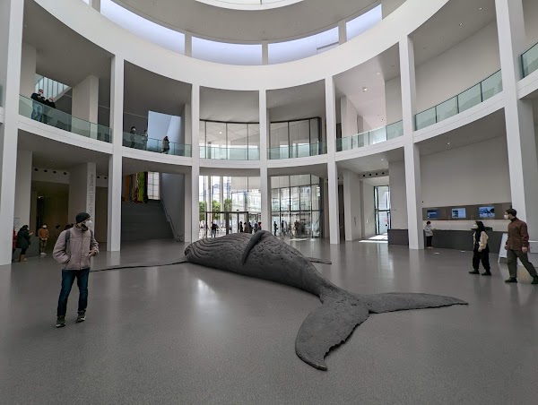Pinakothek der Moderne 5