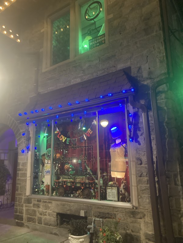 Scrappy Cat (a curiosity shop)