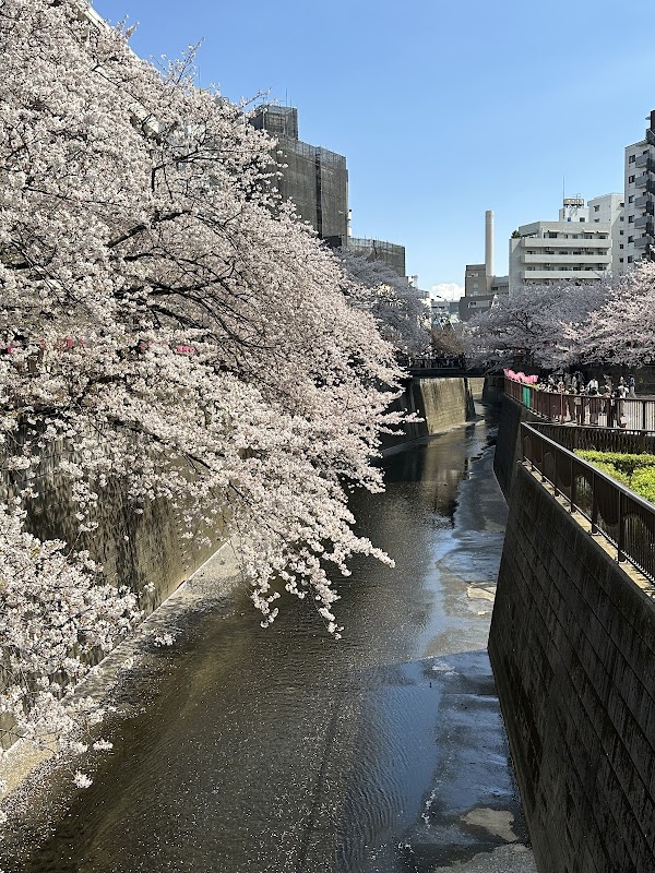 Lugares para visitar en Japón 8