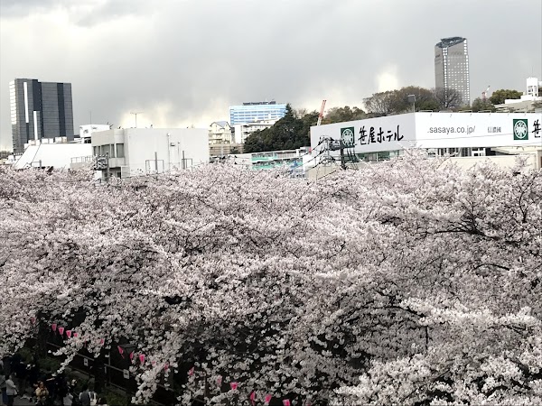 Naka-meguro Sta. 2