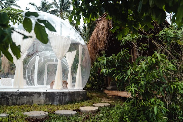 Bubble Siargao