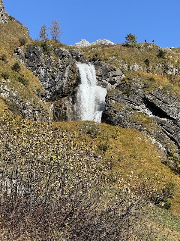 Stäuber