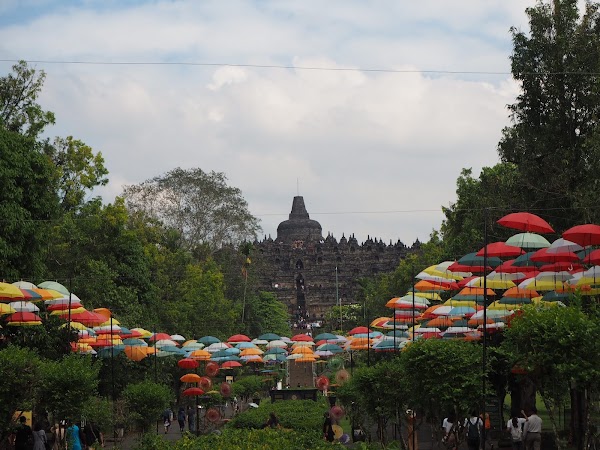 Borobudur 5