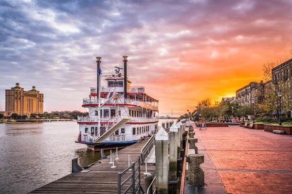 Savannah 5