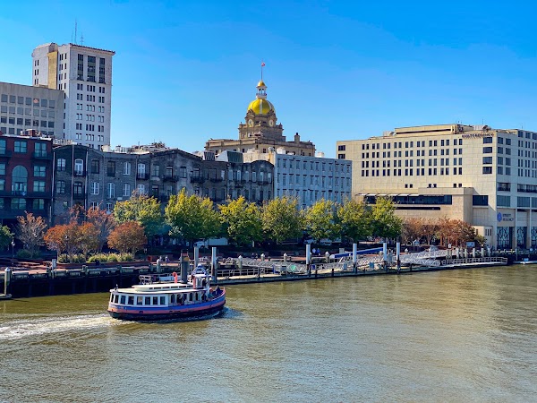 Savannah 4
