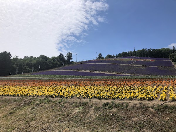 Nakafurano Flower Park
