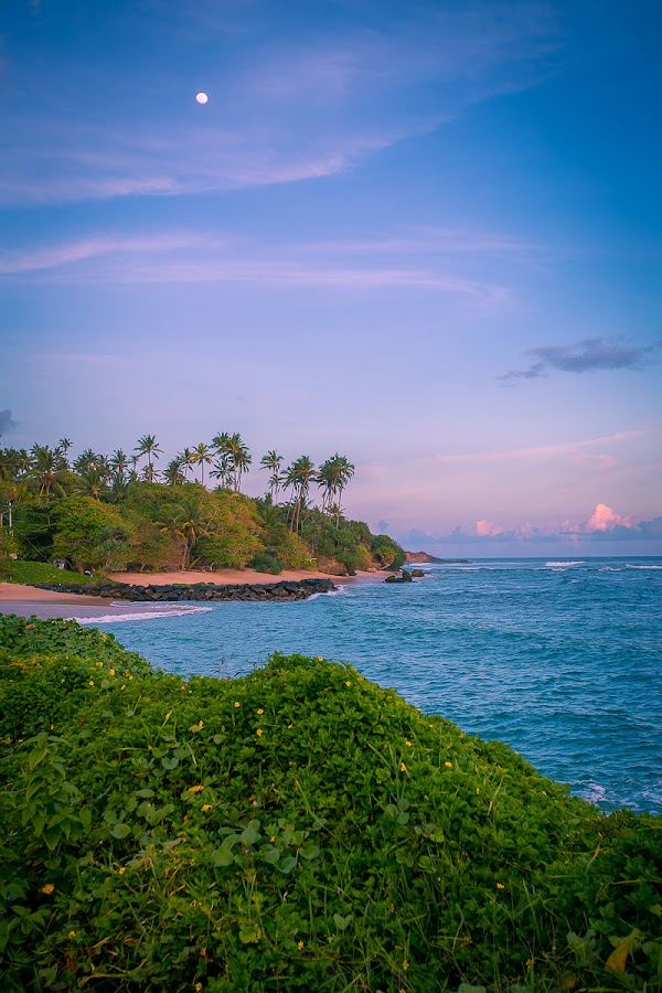 Weligama Bay 5