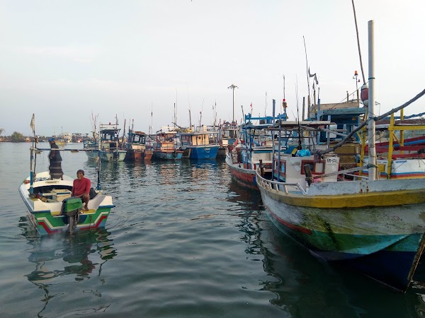 Weligama Bay 2