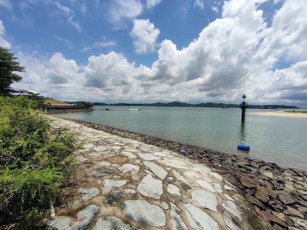Changi Boardwalk 3