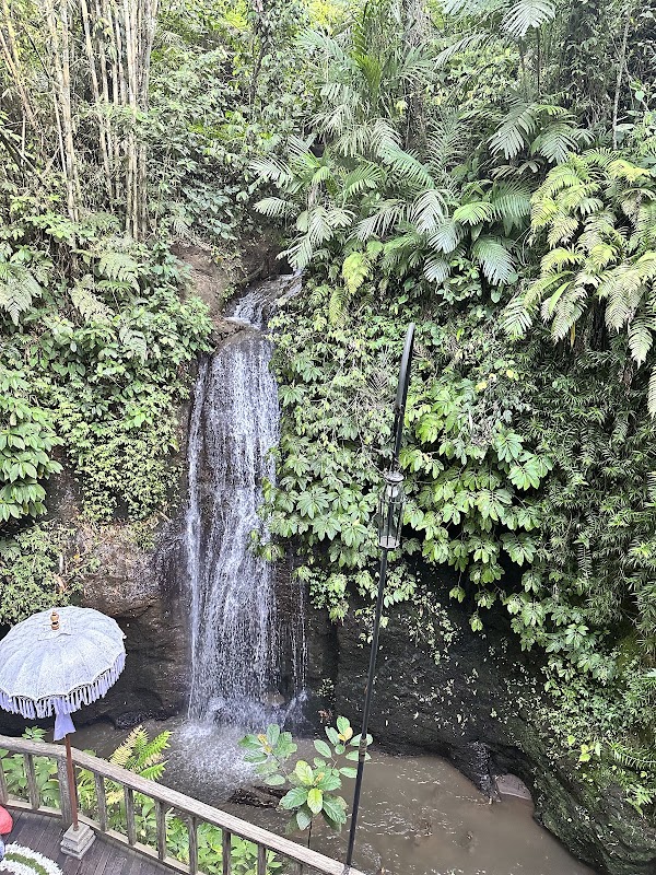 Serayu Spa at Kayon Valley Resort 4