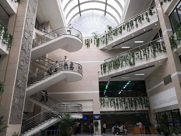 Shanghai Library 5
