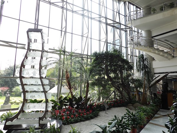 Shanghai Library 3