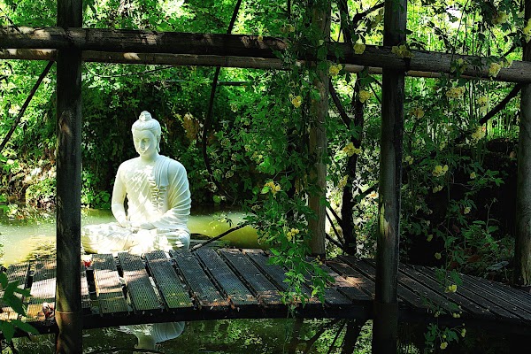 Giardino Botanico Fondazione André Heller 2