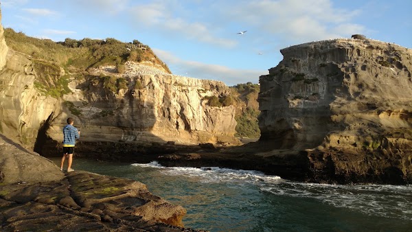 Muriwai 3