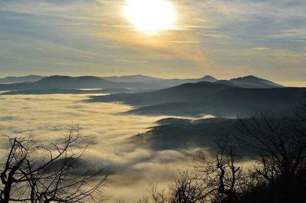 Little Carpathians 4