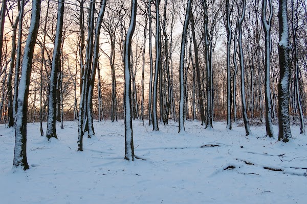 Little Carpathians 2