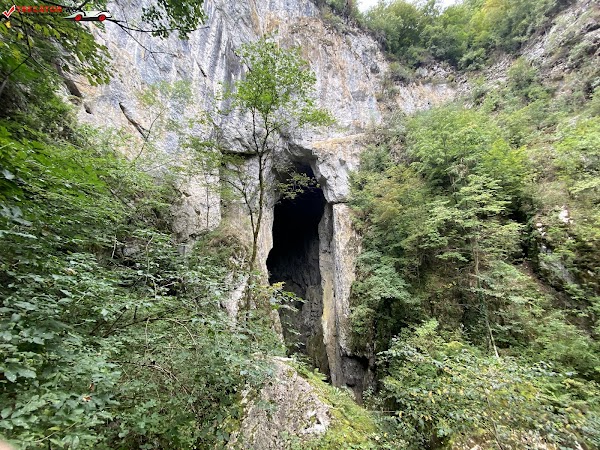 Peștera Topolnița