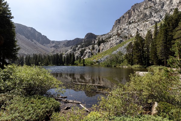 Fern Lake