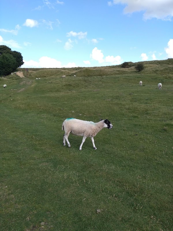 Cleeve Hill 5