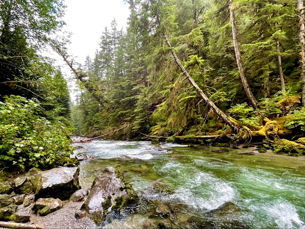 Brandywine Falls Provincial Park 4