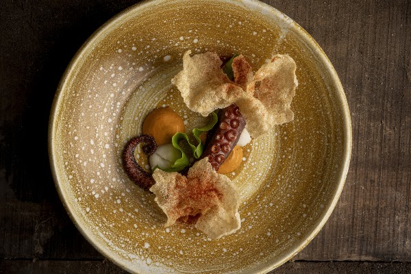 San Lucas Treetop Dining Experience 5