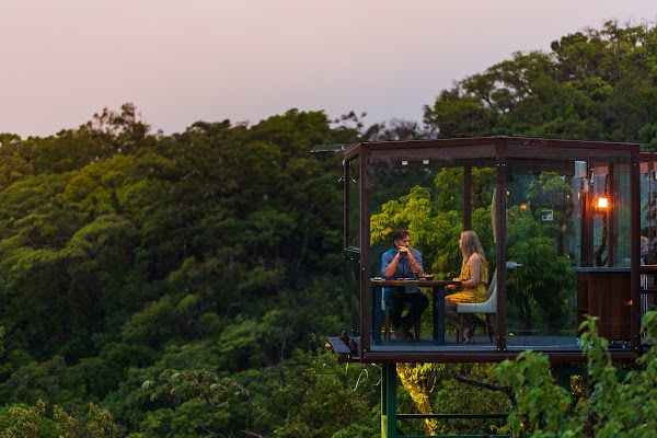 San Lucas Treetop Dining Experience 4
