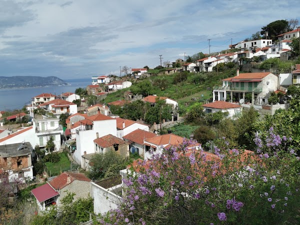 Glossa 1