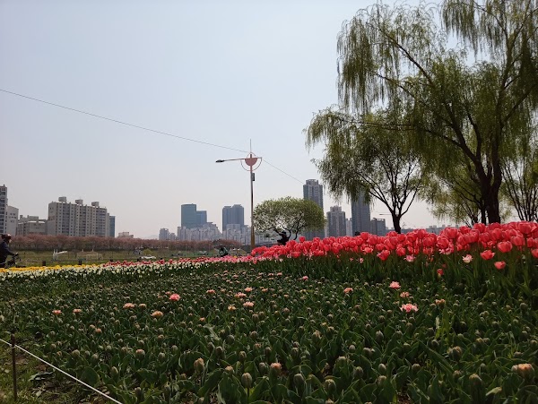 Anyangcheon-ro 3