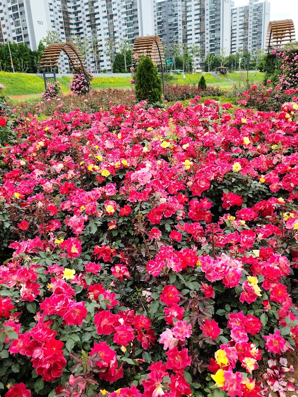 Anyangcheon-ro 2