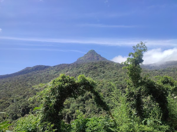 Sri Lanka 7