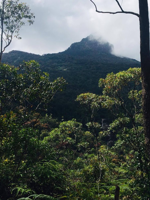 Sri Pada / Adam's Peak 4