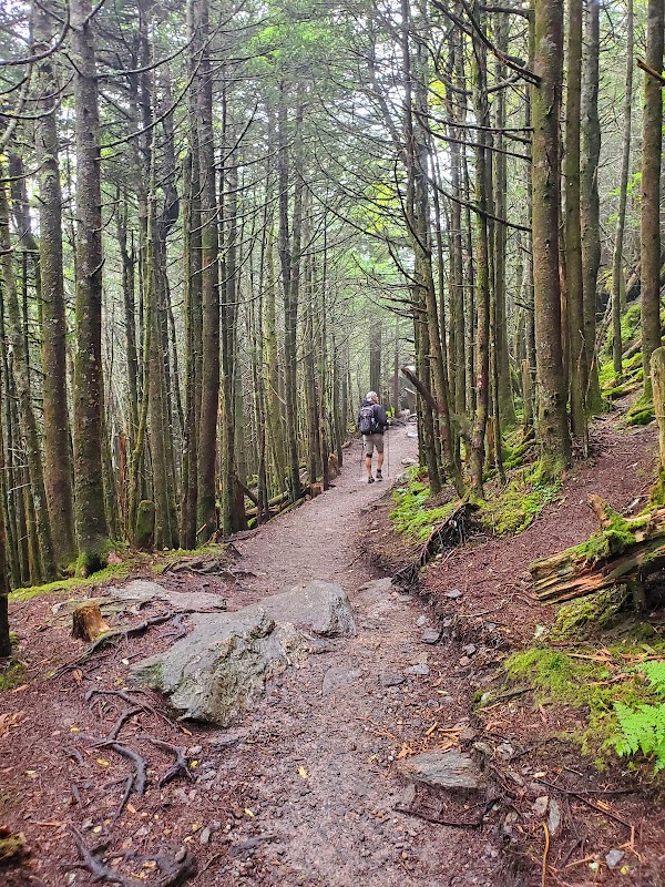 Balsam Nature Trail