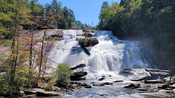 DuPont State Recreational Forest 1