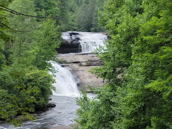 DuPont State Recreational Forest 6