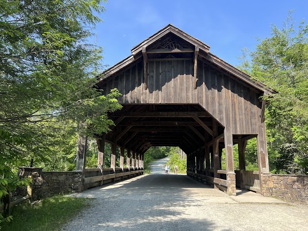 DuPont State Recreational Forest 4