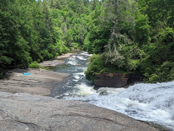 DuPont State Recreational Forest 3
