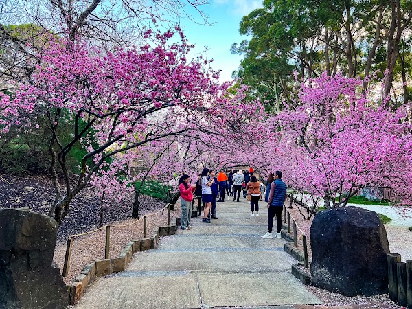 Auburn Botanic Gardens