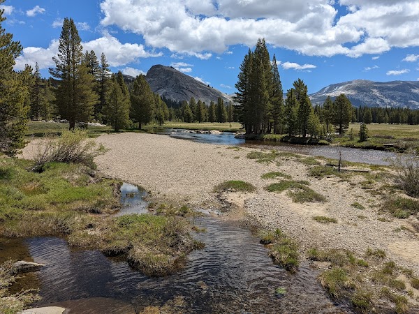 Tuolumne Meadows