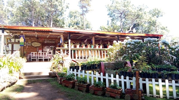 La Casa de la Fresa 1