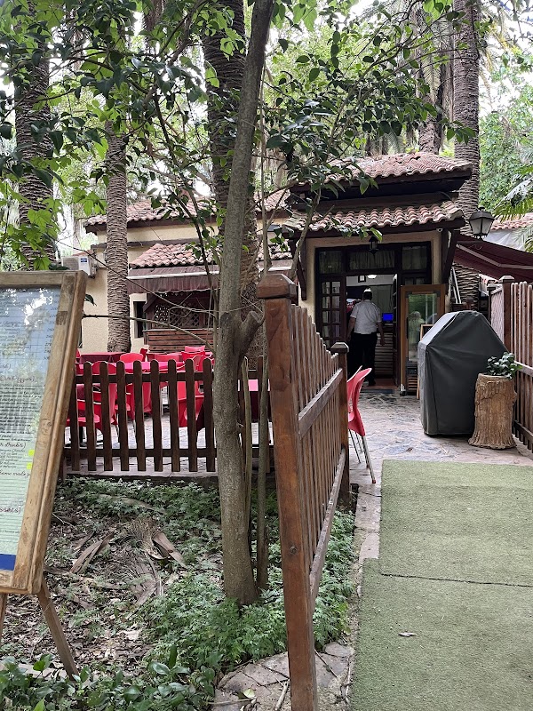 L'auberge du dragonnier 3